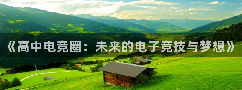 乐鱼电竞网站：《高中电竞圈：未来的电子竞技与梦想》