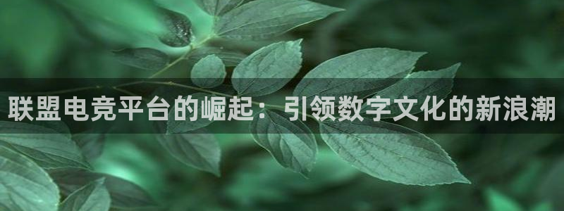 乐鱼电竞app下载：联盟电竞平台的崛起：引领数字文化的新浪潮
