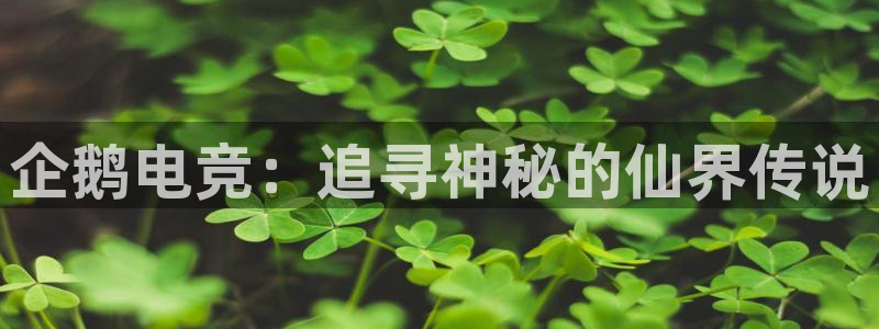 乐鱼电竞网站：企鹅电竞：追寻神秘的仙界传说