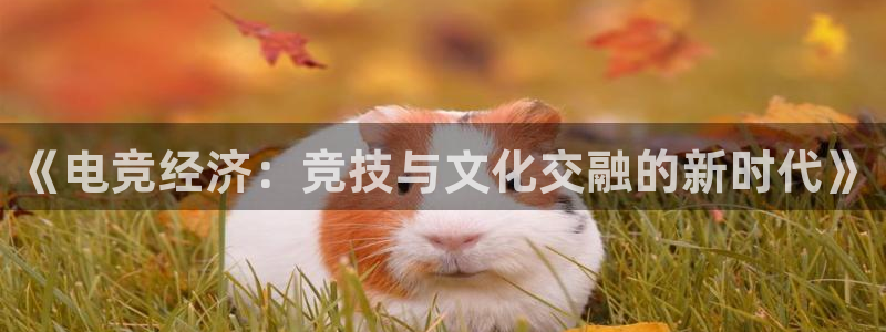 乐鱼电竞app：《电竞经济：竞技与文化交融的新时代》