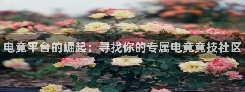 乐鱼电竞app：电竞平台的崛起：寻找你的专属电竞竞技社区