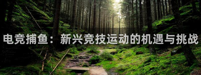 乐鱼电竞app下载：电竞捕鱼：新兴竞技运动的机遇与挑战